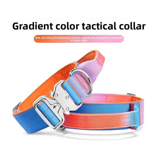 Heavy Duty Tactical Dog Collar With Handle Metal D Ring