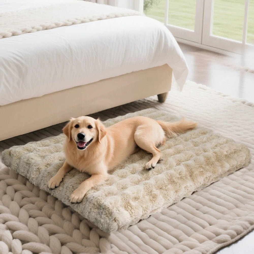 Borwart Ultra Plush Washable Dog Bed With Removable Cover