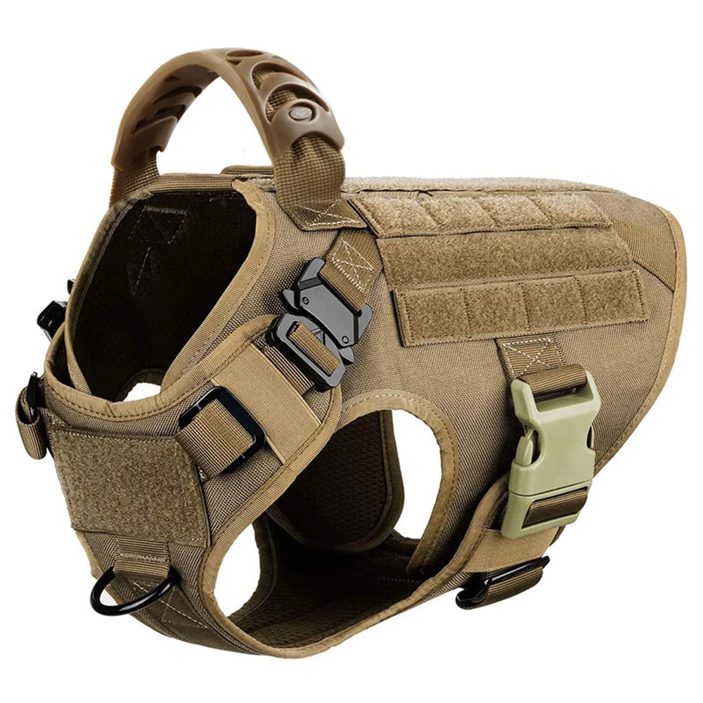 PetraVel Adjustable Padded Nylon Dog Harness And Leash Set