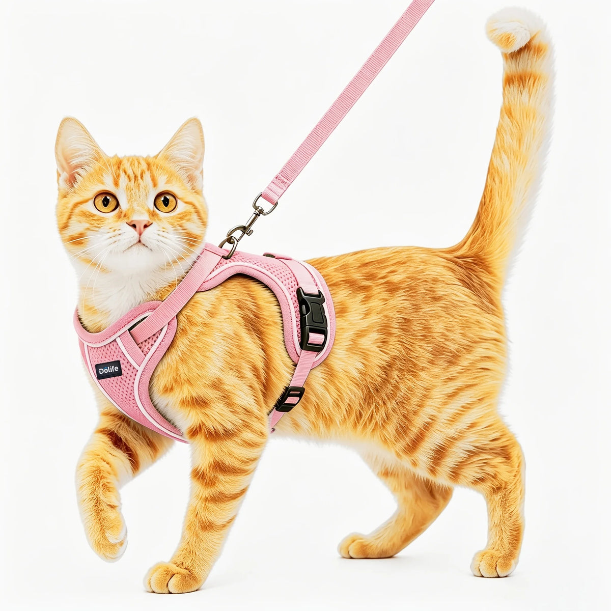 Breathable Adjustable Cat Harness And Durable Nylon Leash
