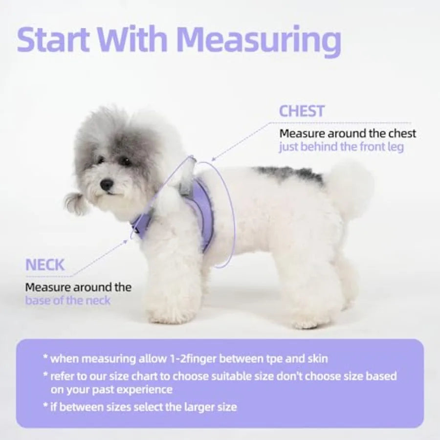 Sparkly Soft Step In Reflective Breathable Puppy Harness With Leash