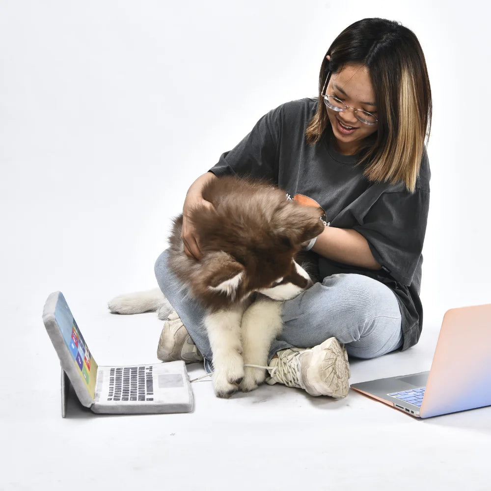 Interactive Plush Dog Toys Squeaky Chew Tugs For Puppies