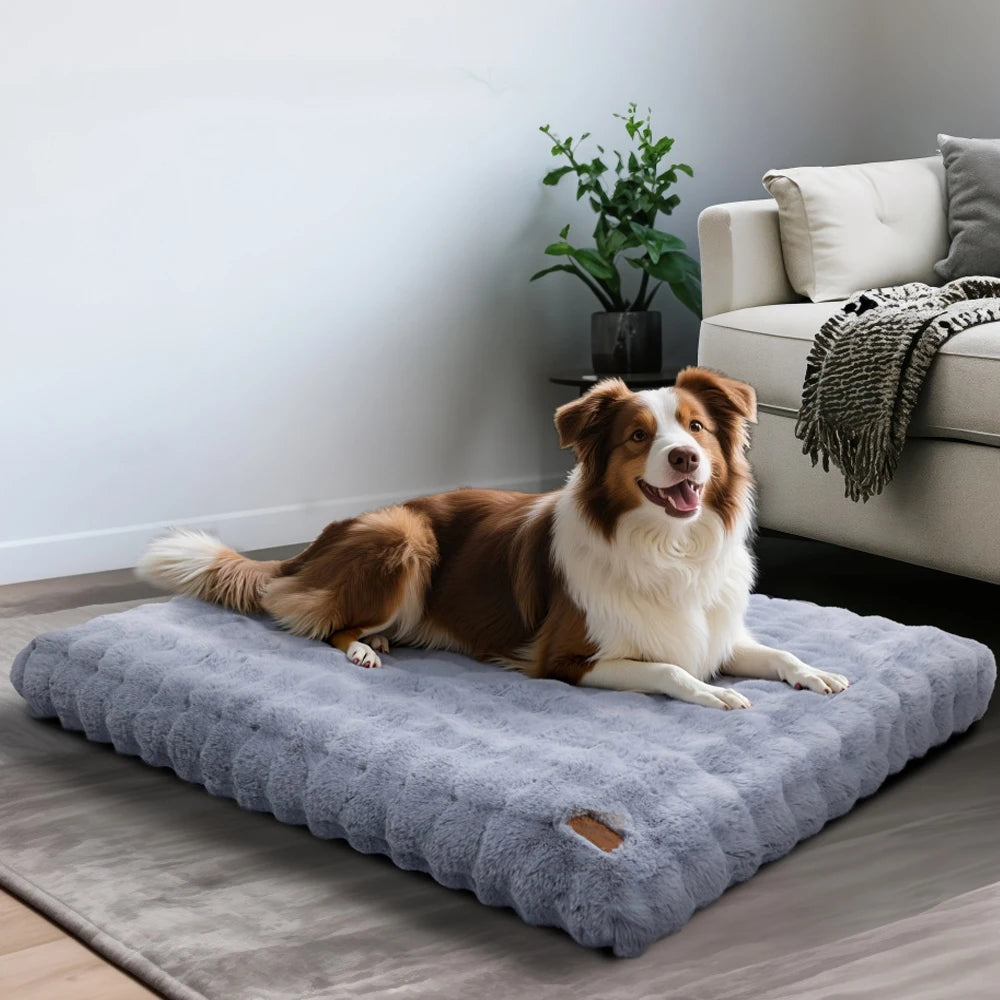 Borwart Ultra Plush Washable Dog Bed With Removable Cover