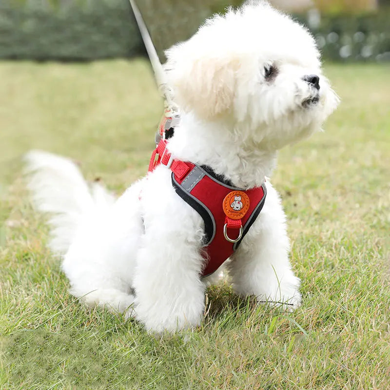 Adjustable Quick Release Dog Harness With Soft Webbing Leash