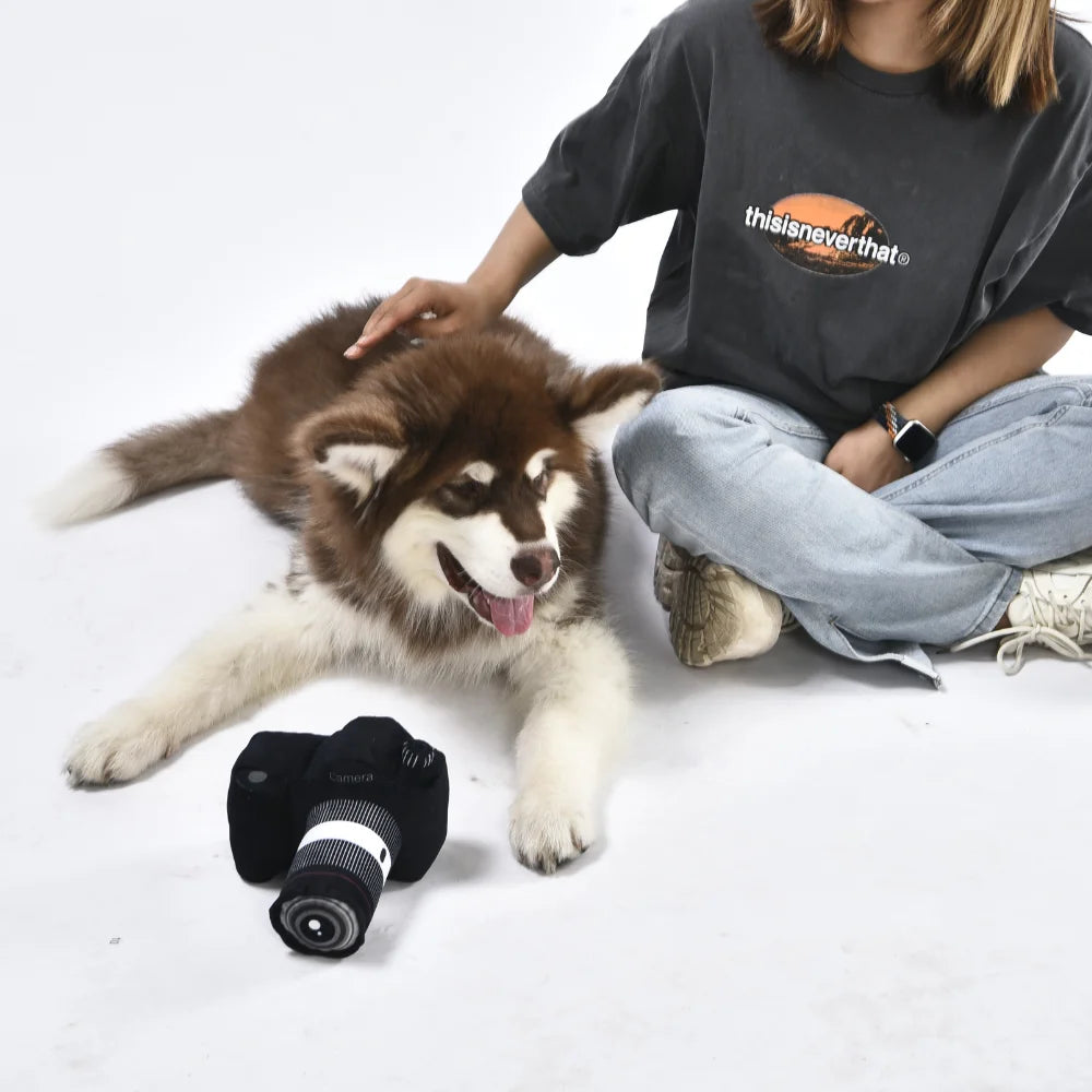 Interactive Plush Dog Toys Squeaky Chew Tugs For Puppies