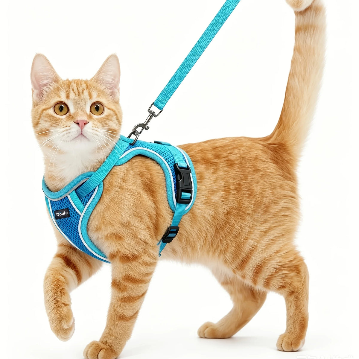 Breathable Adjustable Cat Harness And Durable Nylon Leash
