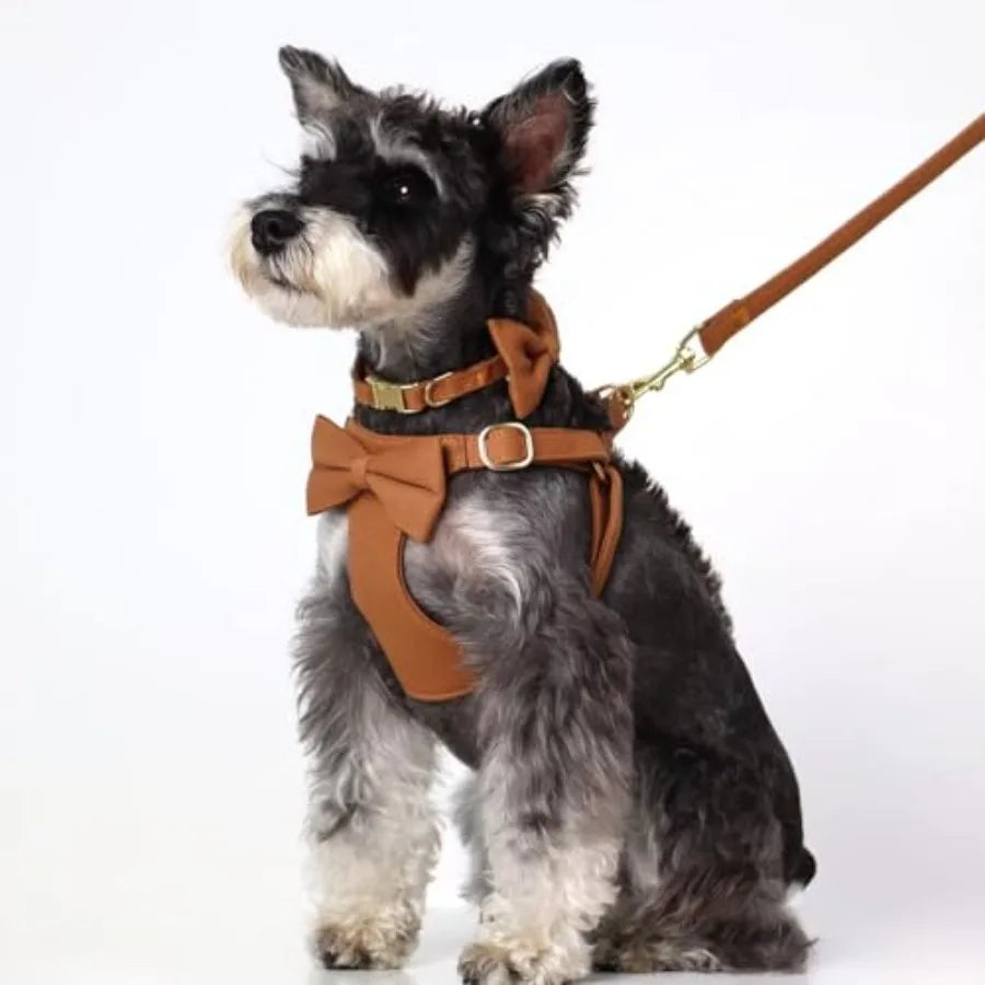 Adjustable Step In Nylon Dog Harness Collar Leash Set