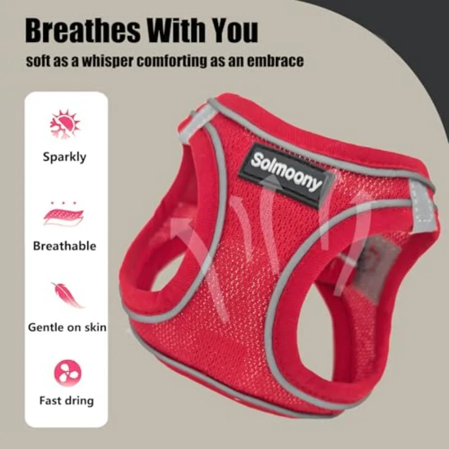 Soft Reflective Dog Harness And Leash Set For Puppies