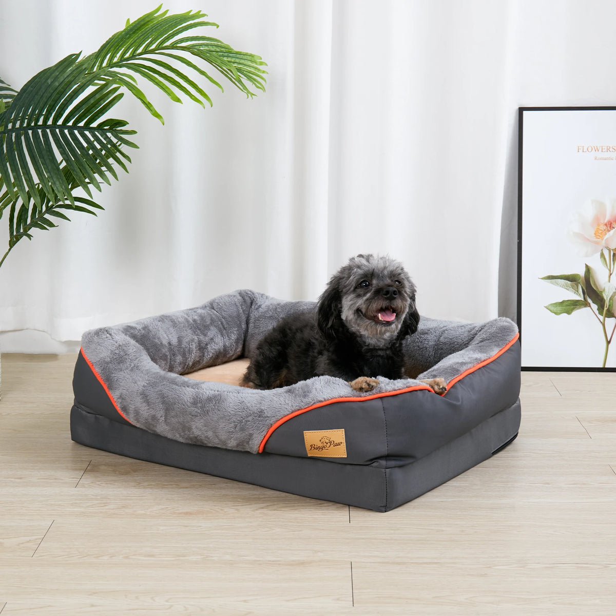 Bingopaw Orthopedic Dog Bed With Removable Washable Cover