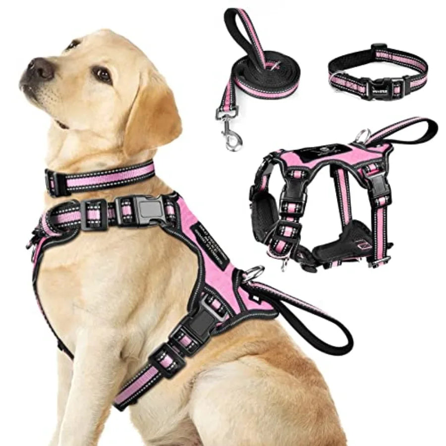 Reflective Nylon Dog Harness And Leash Set For Puppies
