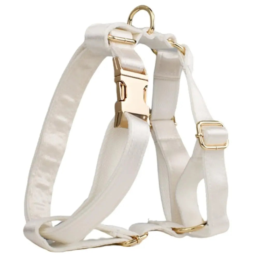 Adjustable Soft And Durable Pet Collar With Secure Buckle Clip