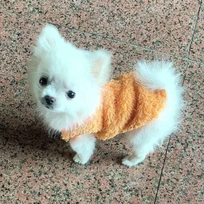 Cute Printed Fleece Sweater for Dogs in Autumn and Winter