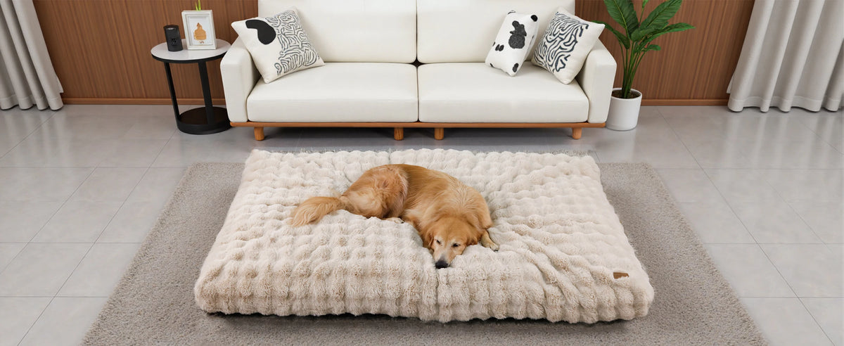Borwart Ultra Plush Washable Dog Bed With Removable Cover