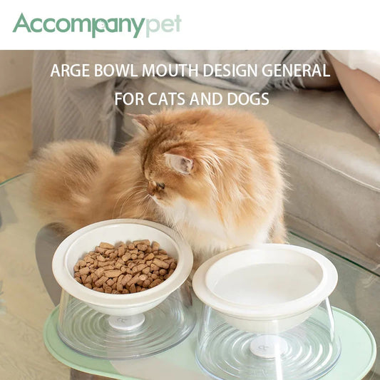 Ceramic Raised Tilted Pet Bowl With Removable Ceramic Neck Guard