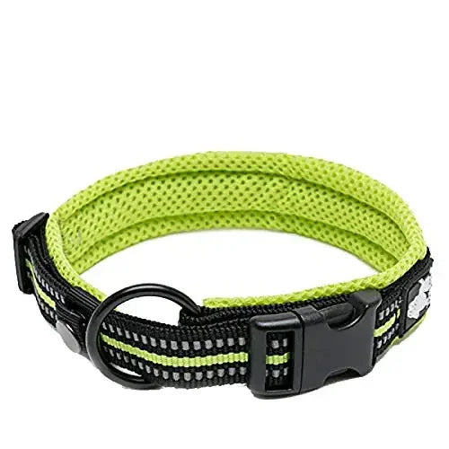 TrueLove Padded Reflective Adjustable Nylon Pet Collar