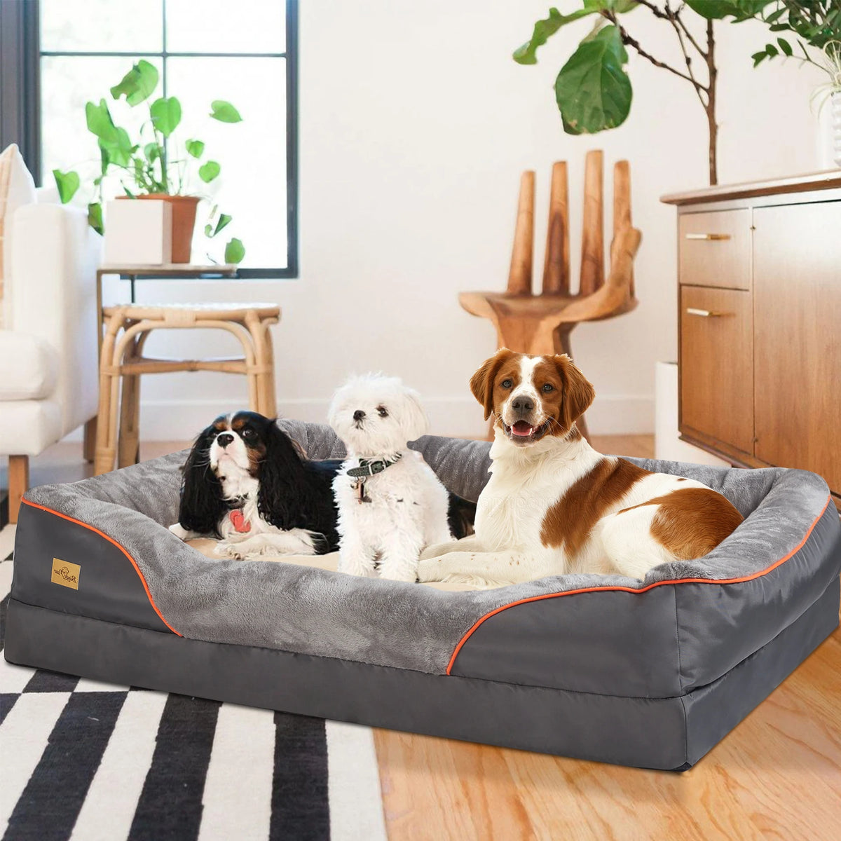 Bingopaw Orthopedic Dog Bed With Removable Washable Cover