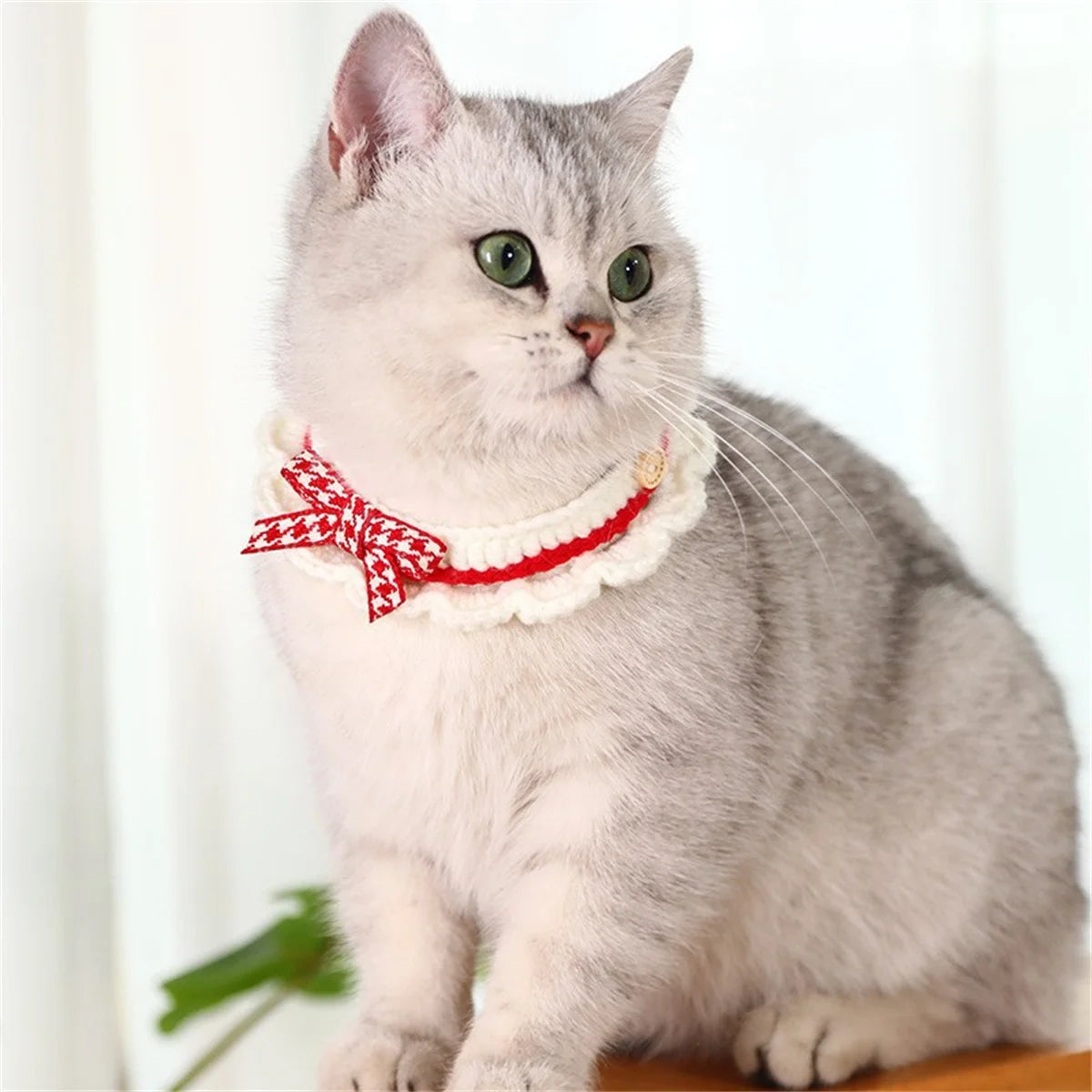 Adjustable Hand Knitted Bow Knot Collar for Puppy and Kitten