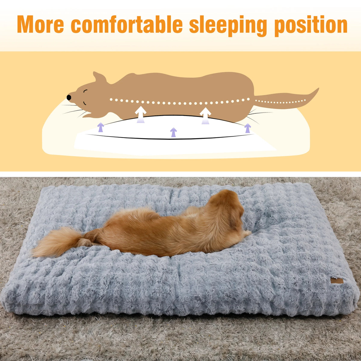 Borwart Ultra Plush Washable Dog Bed With Removable Cover