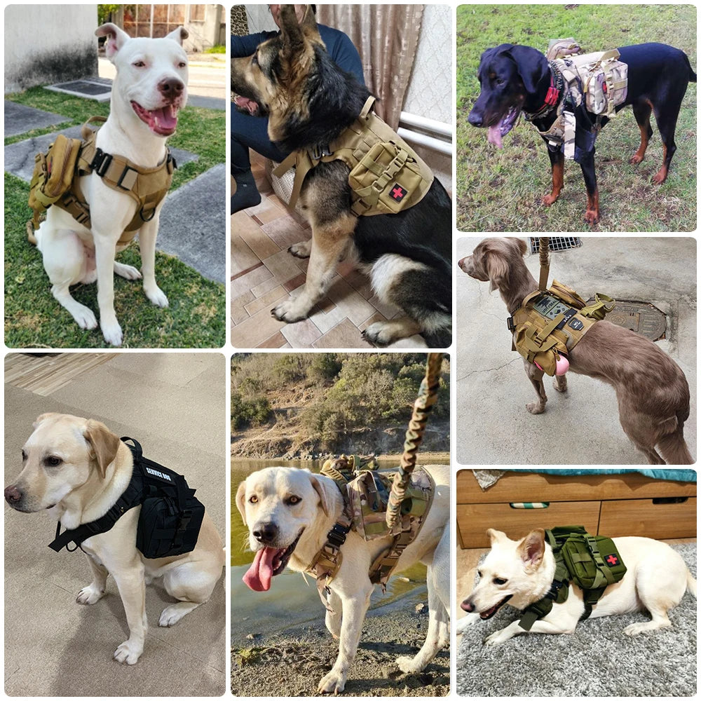 Petravel Tactical Dog Harness Leash Set for Military Pets