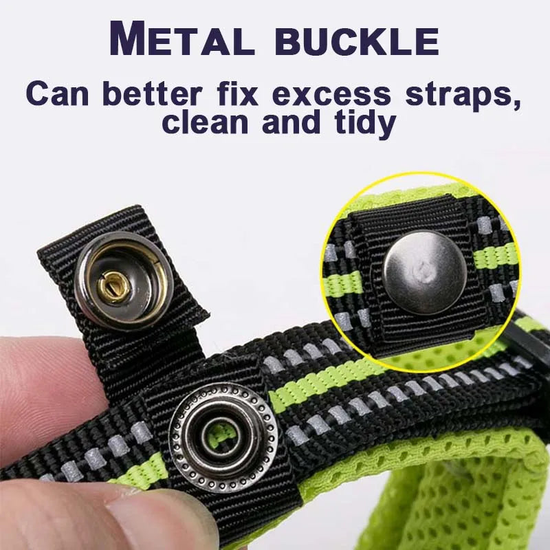 Winhyepet Padded Reflective Dog Collar With Comfortable Nylon Strap