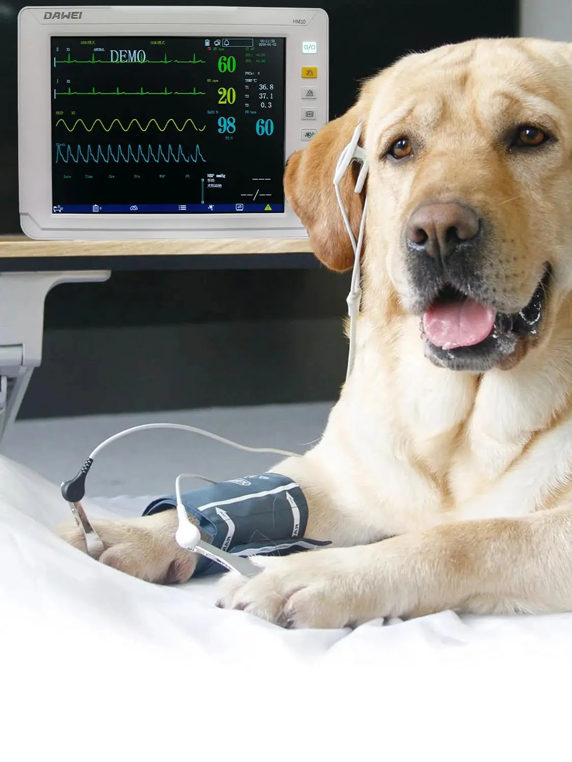 Dawei Portable Veterinary Multi Parameter Monitor For Pets