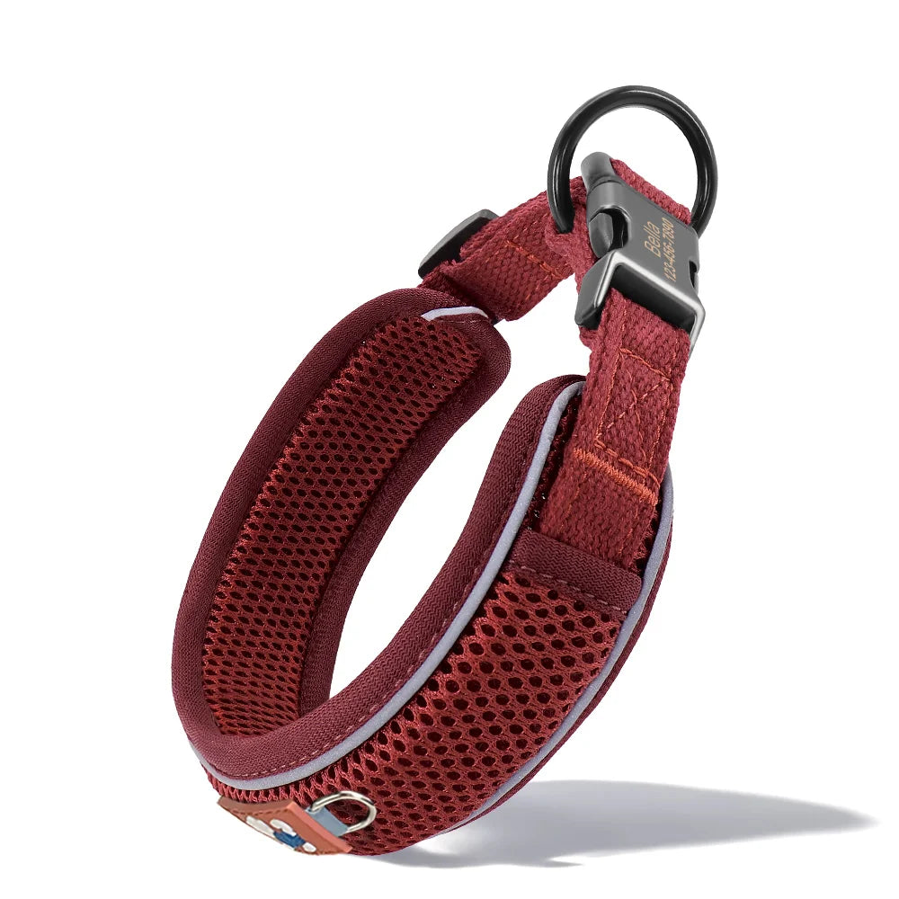 Personalized Reflective Mesh Dog Collar Featuring Padded Comfort