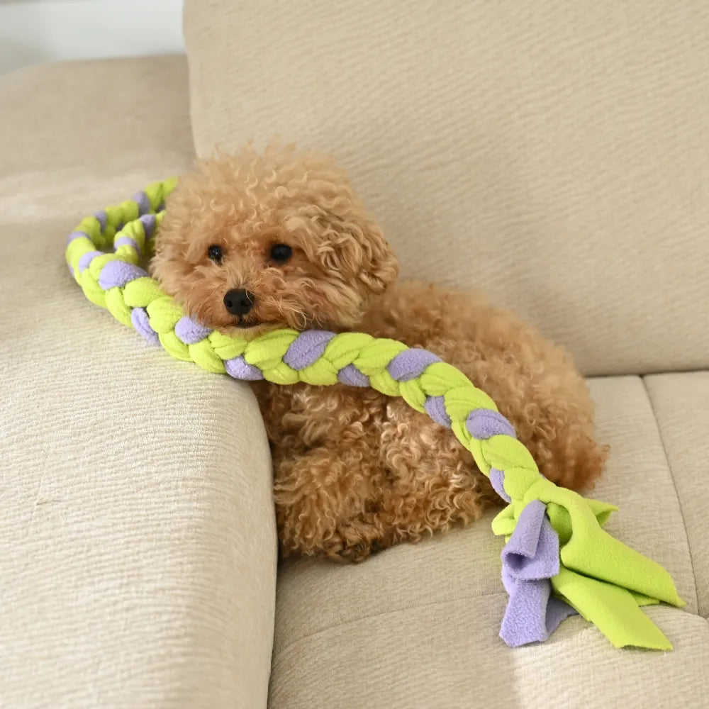 Durable Woven Dog Rope Tug Toy With Secure Loop Handle