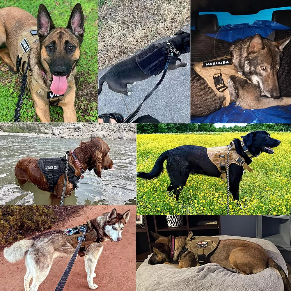 Petravel Padded Tactical Dog Harness Vest Set With Leash