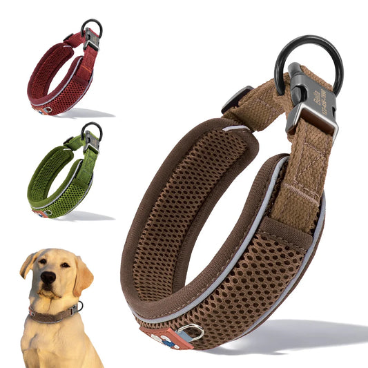 Personalized Reflective Mesh Dog Collar Featuring Padded Comfort